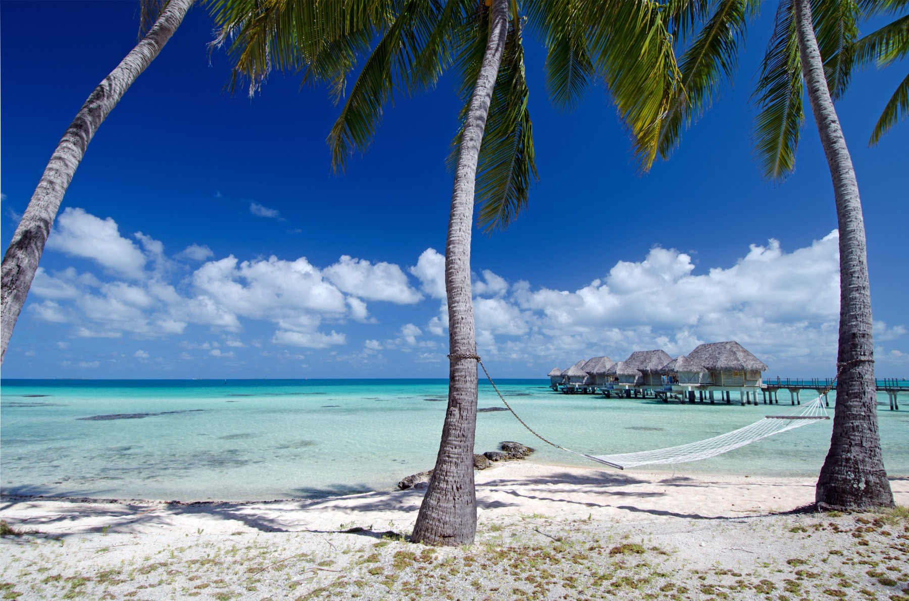 Le Tikehau by Pearl Resorts