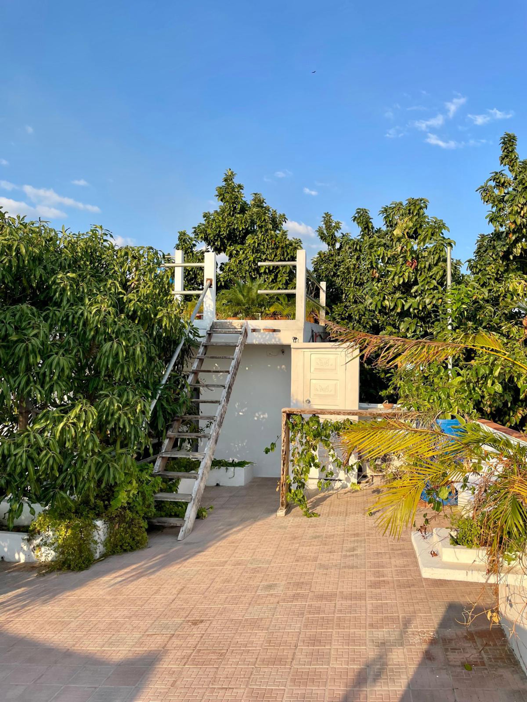 Hostal Jesus Maria 432