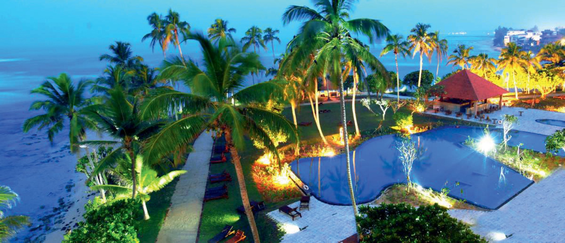 Hikka Tranz by Cinnamon