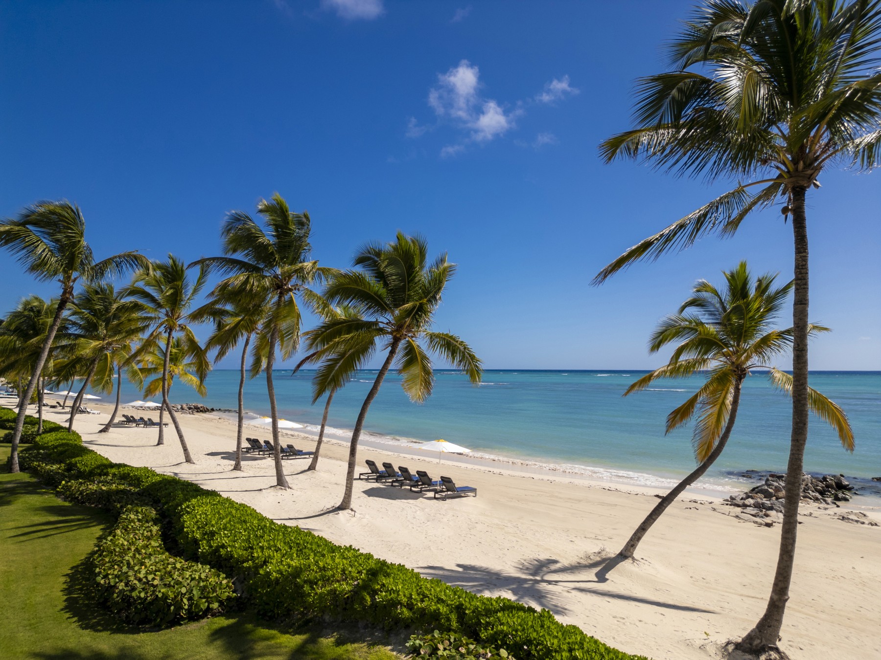 Punta Cana - Tortuga Bay PuntaCana Resort & Club