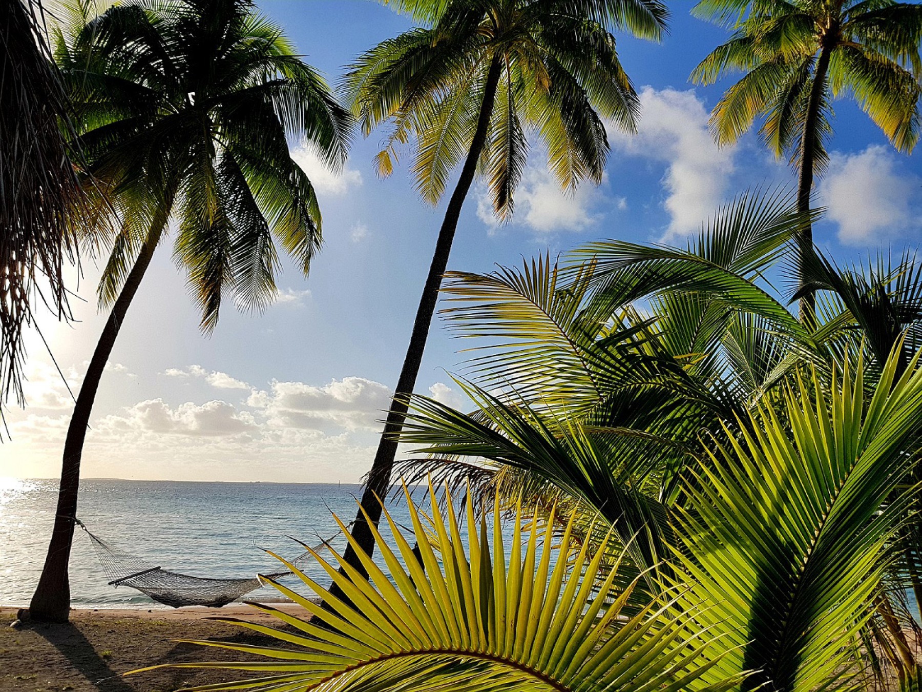 Le Tikehau by Pearl Resorts