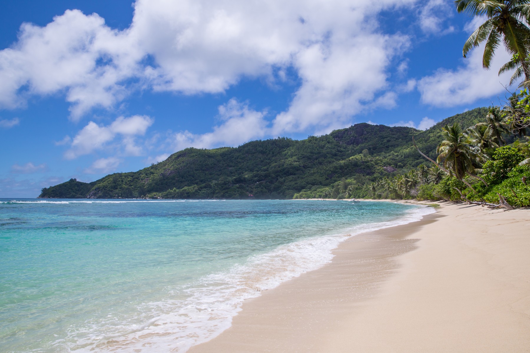 Chalets d'Anse Forbans