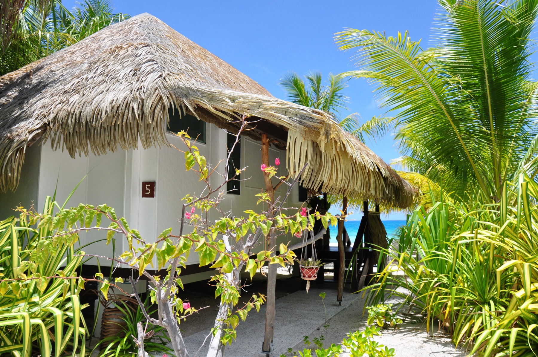 Pension Tikehau Paradise