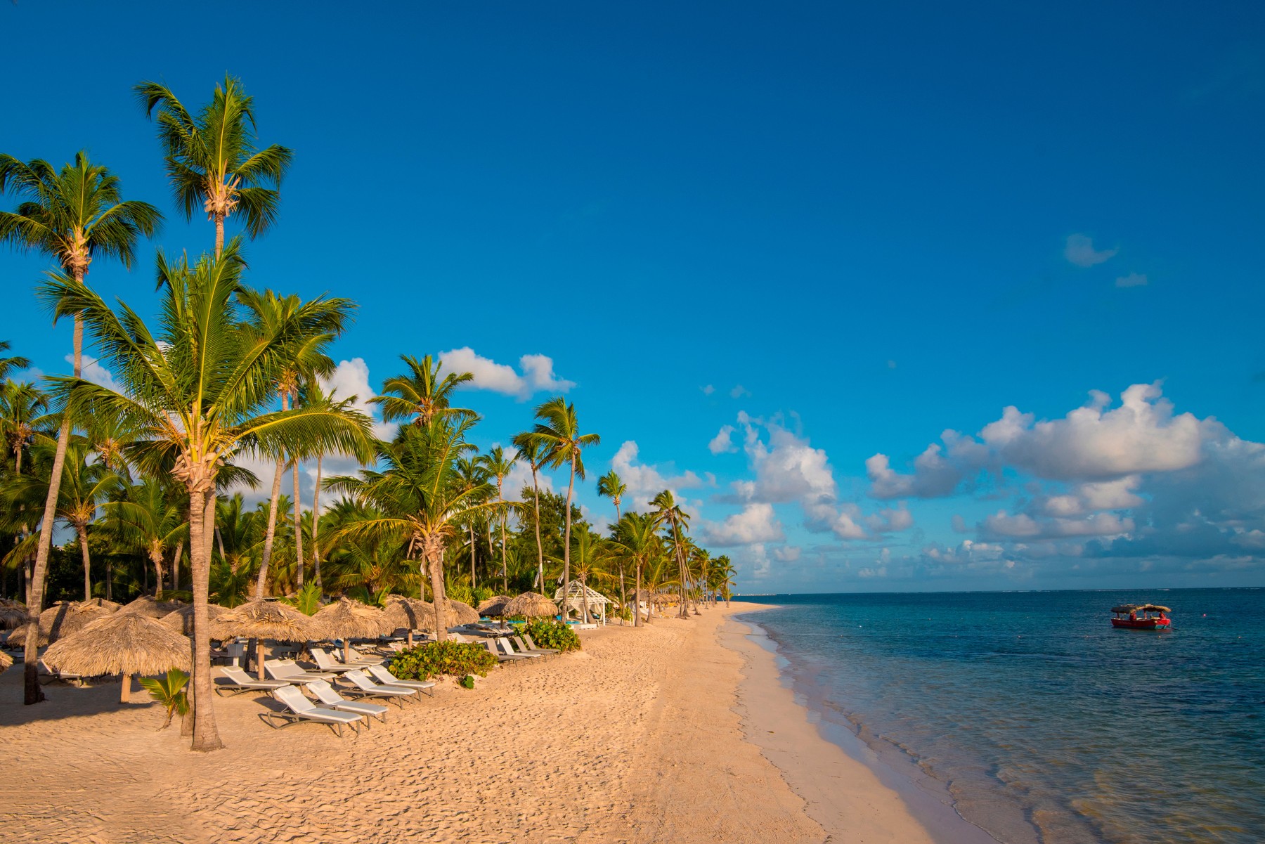 Punta Cana  - Catalonia Royal Bavaro