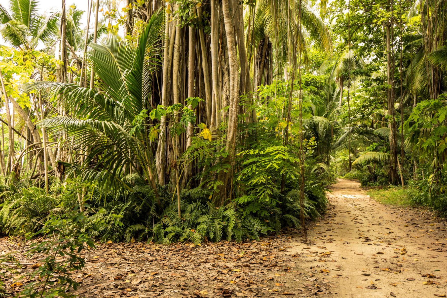 Denis Private Island