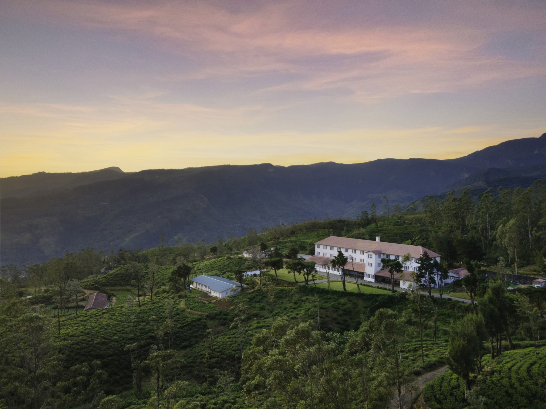 Tea & Experience Factory Hotel