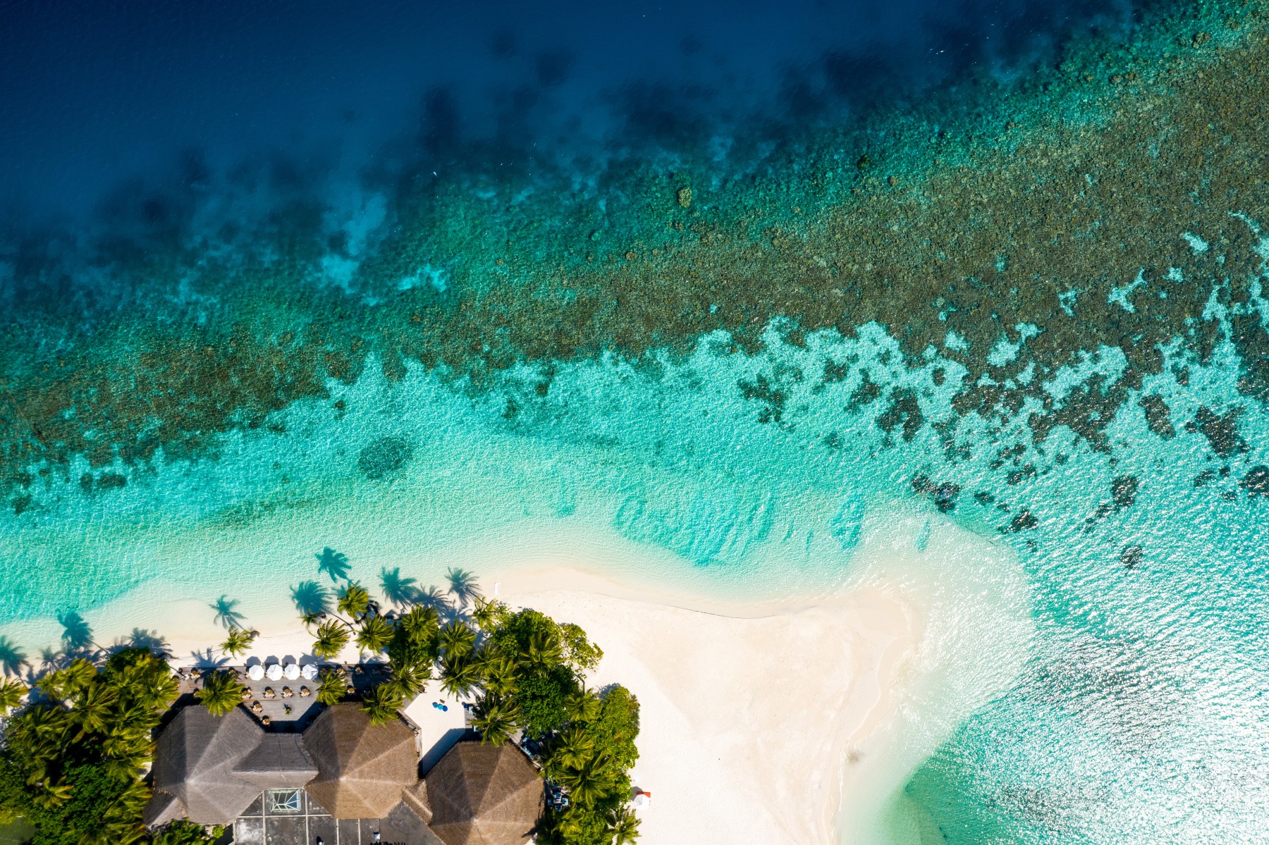 V Villas Maldives at Mirihi