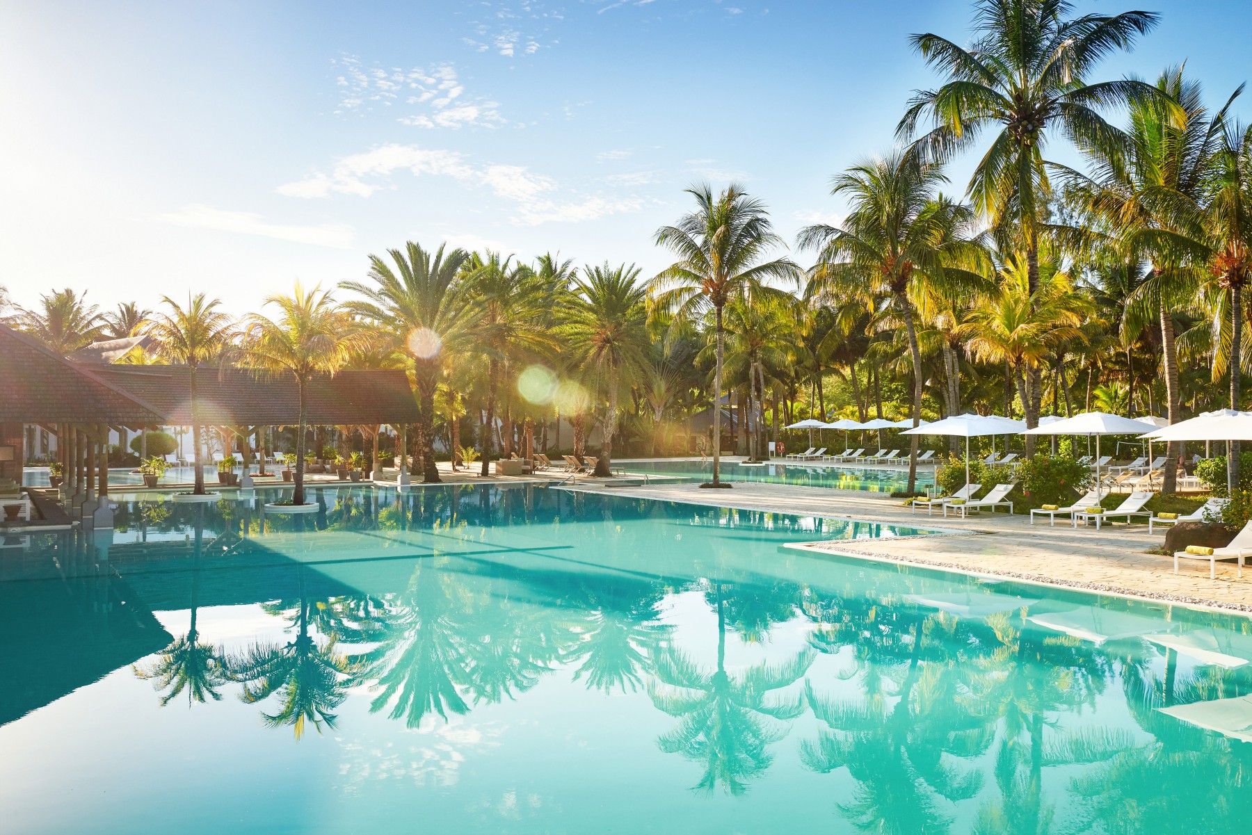 The Ravenala Attitude