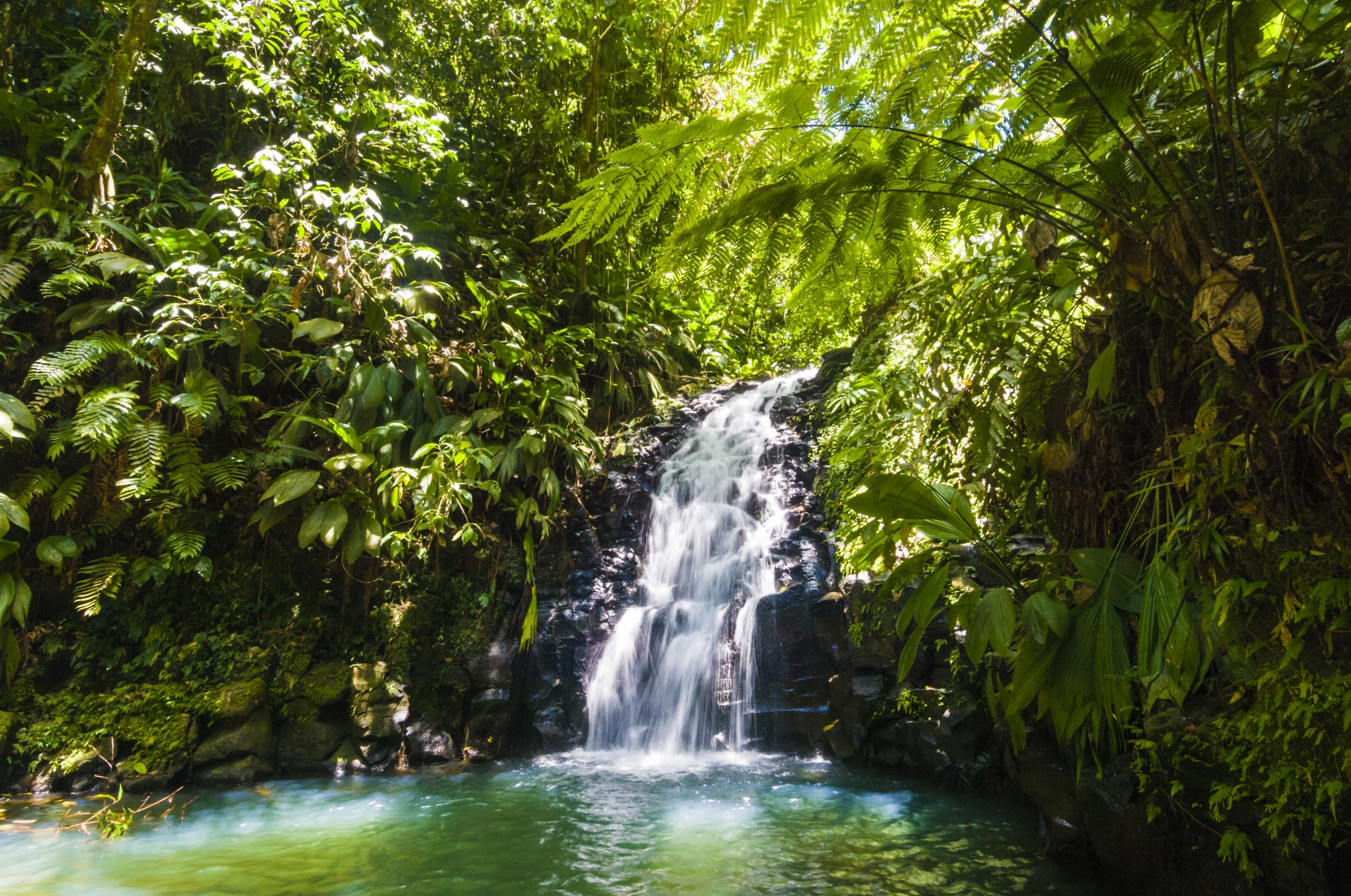 France, Guadeloupe, Basse-Terre, Petit-Bourg, cascade du parc floral et animalier de Valombreuse // France, Guadeloupe, Basse-Terre, Petit-Bourg, cascade of the floral and animal park of Valombreuse