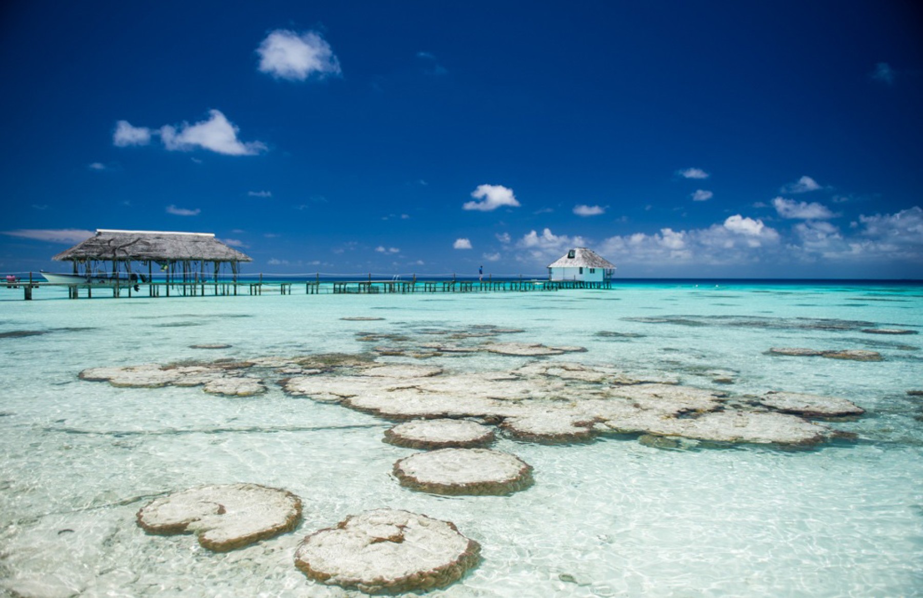 Pension Pearl Havaiki Lodge