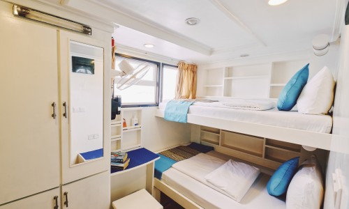 Cabine Standard