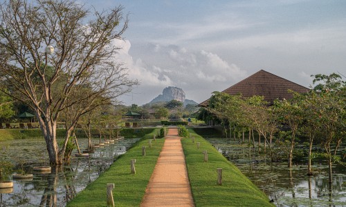 Water Garden