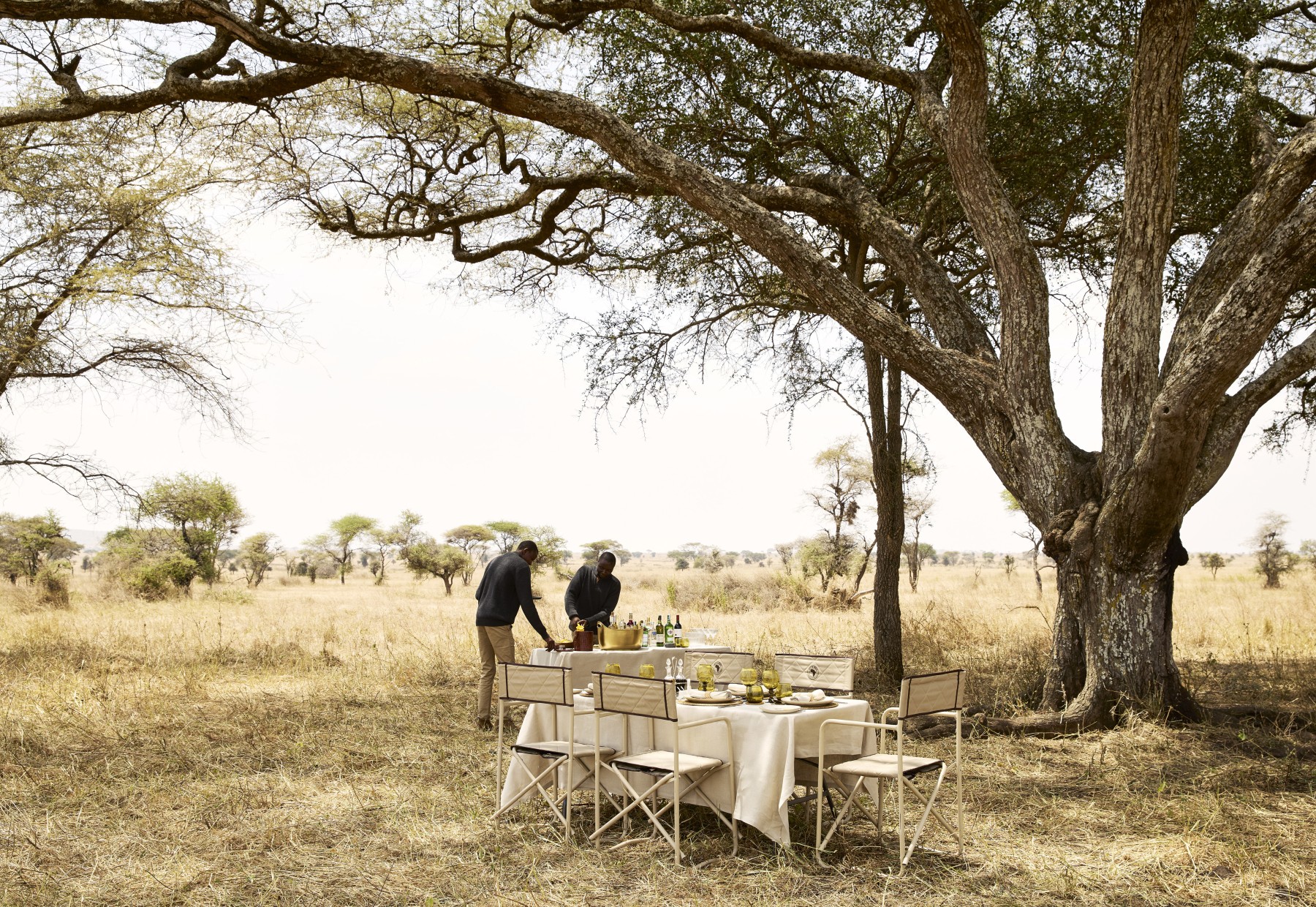 Out of Africa by Laba Laba