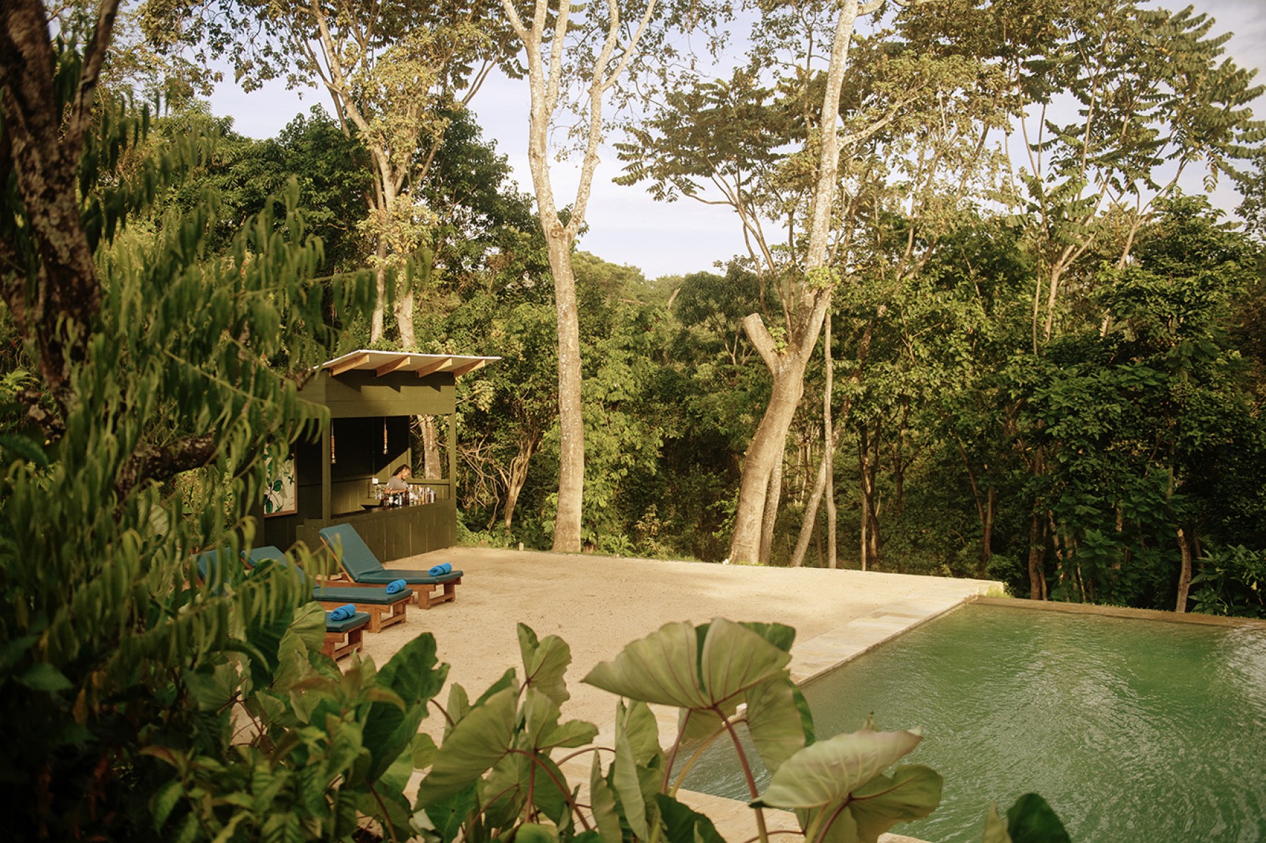Kilimanjaro Coffee Lodge