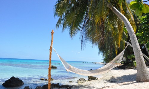 Pension Le Coconut Lodge