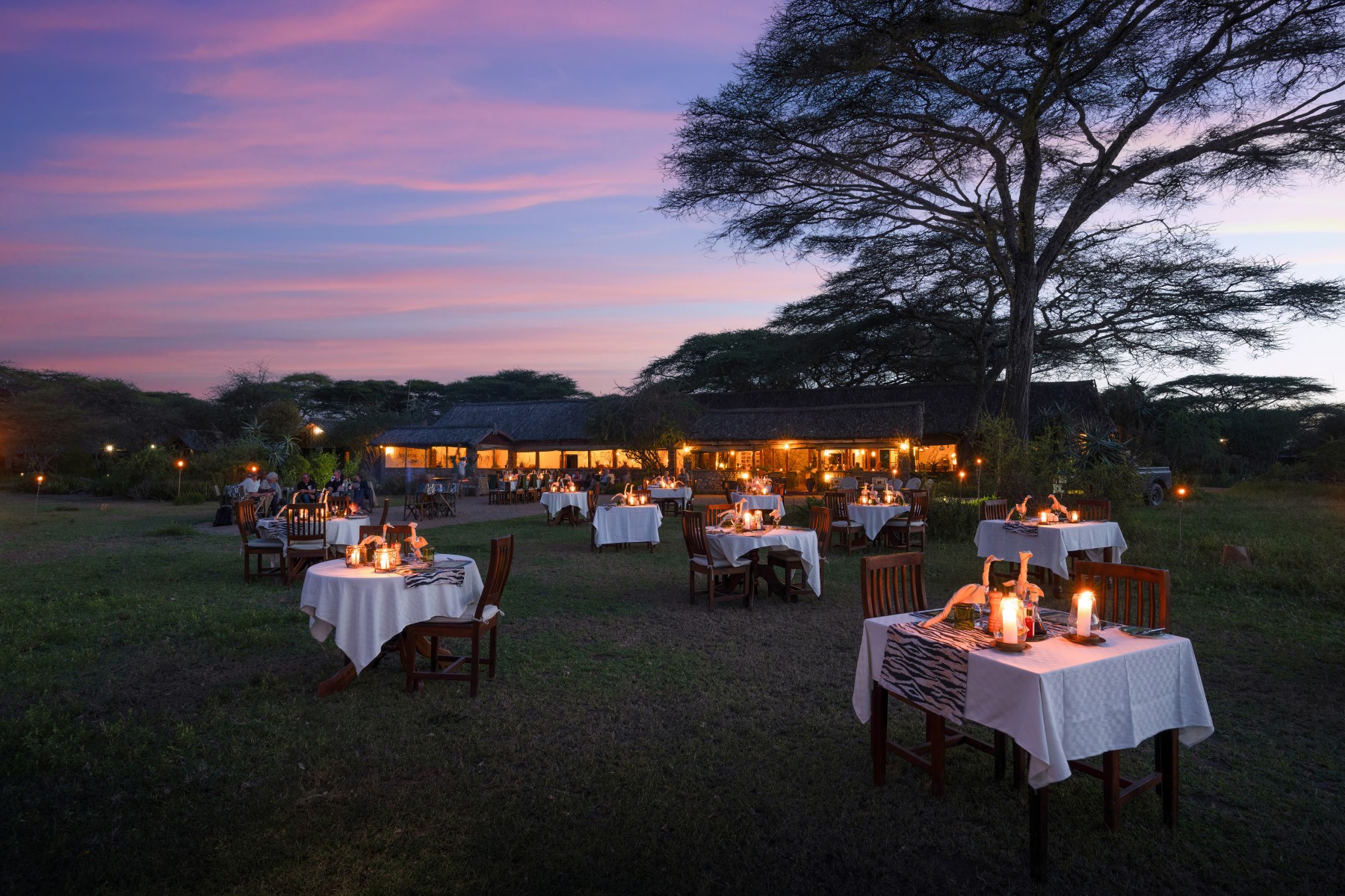 Ndutu Safari Lodge