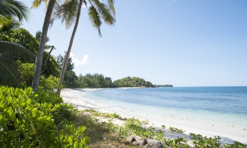 Constance Lemuria Seychelles