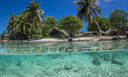 Pension Le Coconut Lodge
