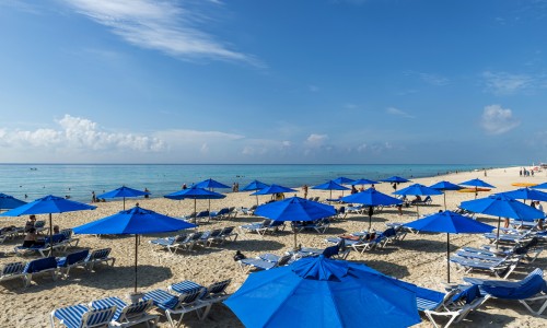 The Reef Playacar