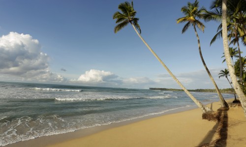 Samana - Viva Wyndham V Samana