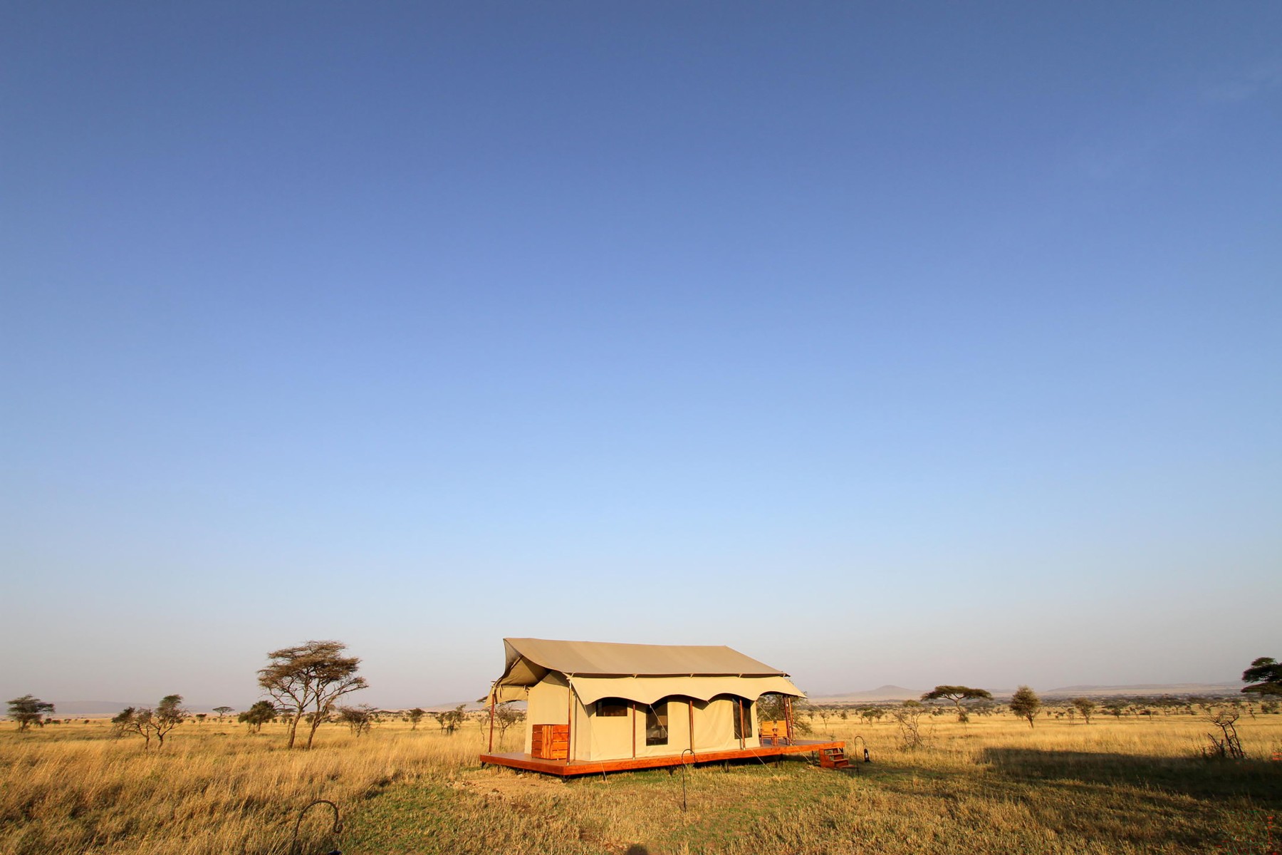 Siringit Serengeti Camp