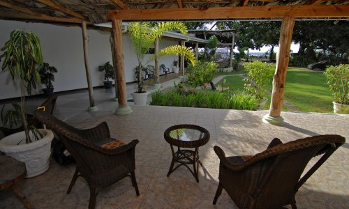 Augerine