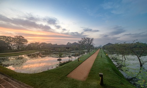 Water Garden