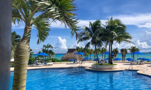 The Reef Playacar