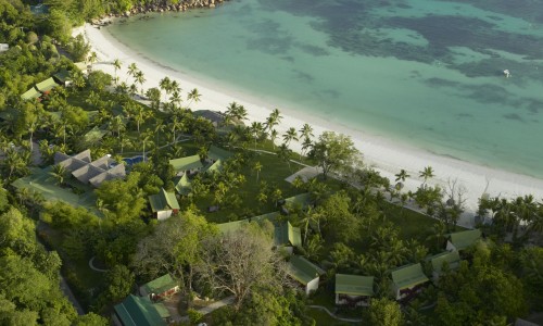 Paradise Sun