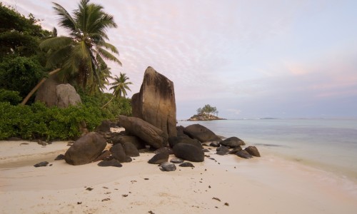 Combiné Cocos