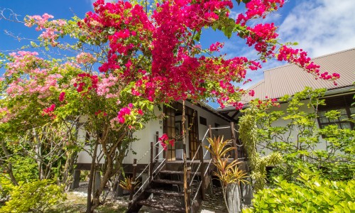 Bungalow Jardin