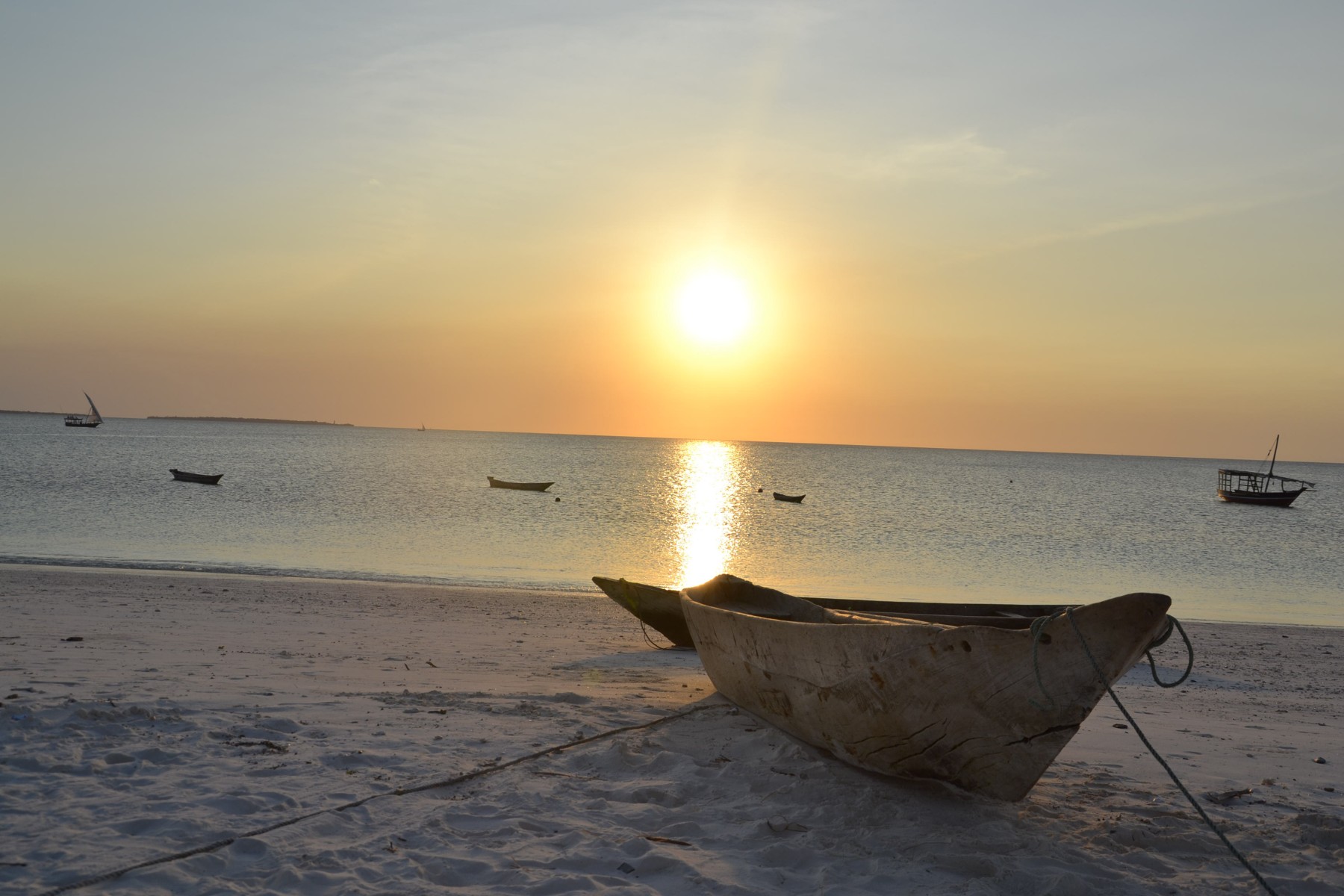 Gold Zanzibar