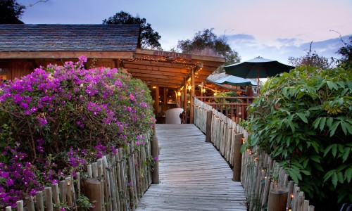 Lodge Roche Tamarin