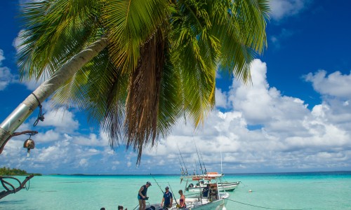 Pension Cocoperle Lodge