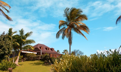 Le Jardin Malanga