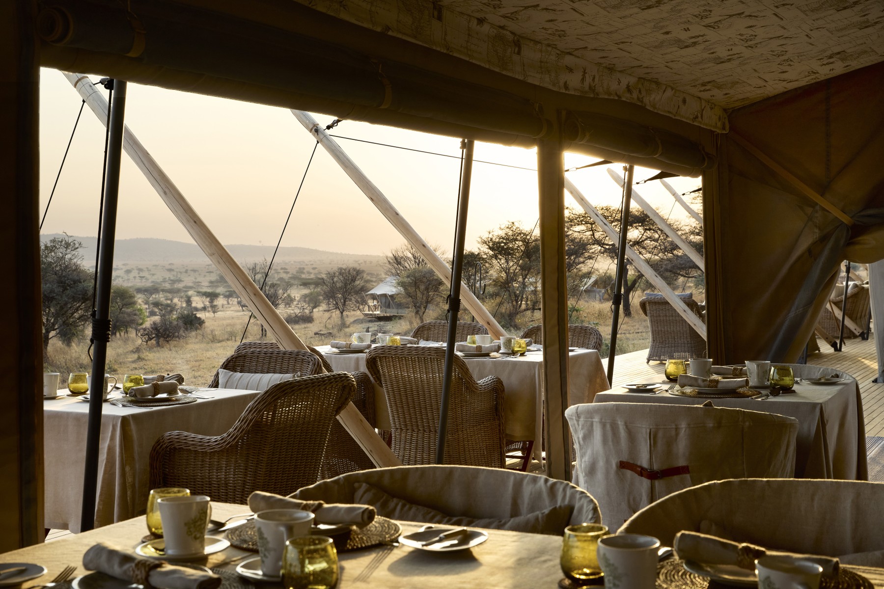 Out of Africa by Laba Laba
