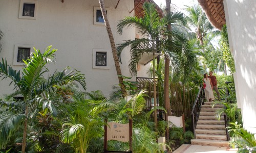 The Reef Playacar