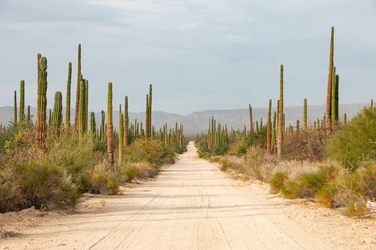 Mexique Auto-tours