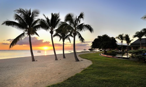 Photo 1 -