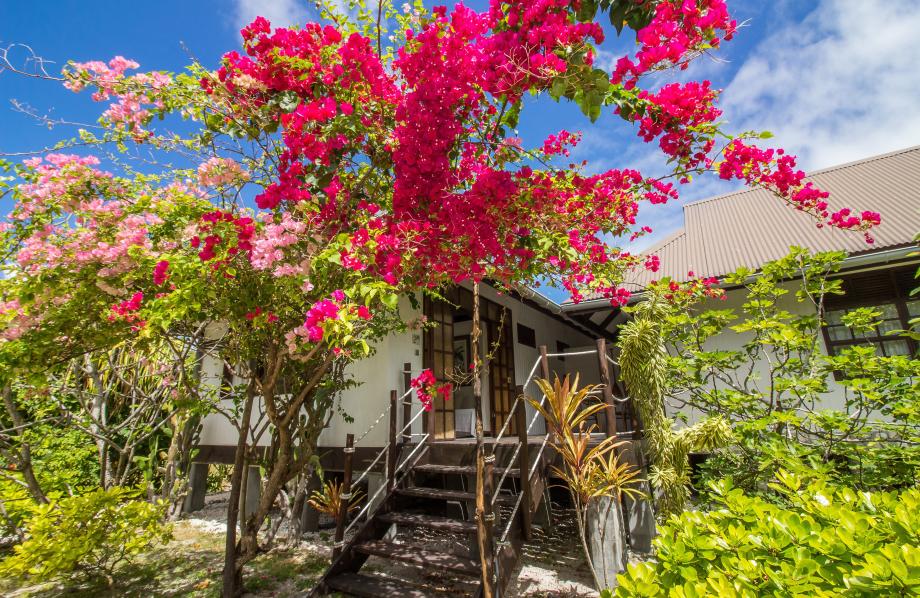 Bungalow Jardin