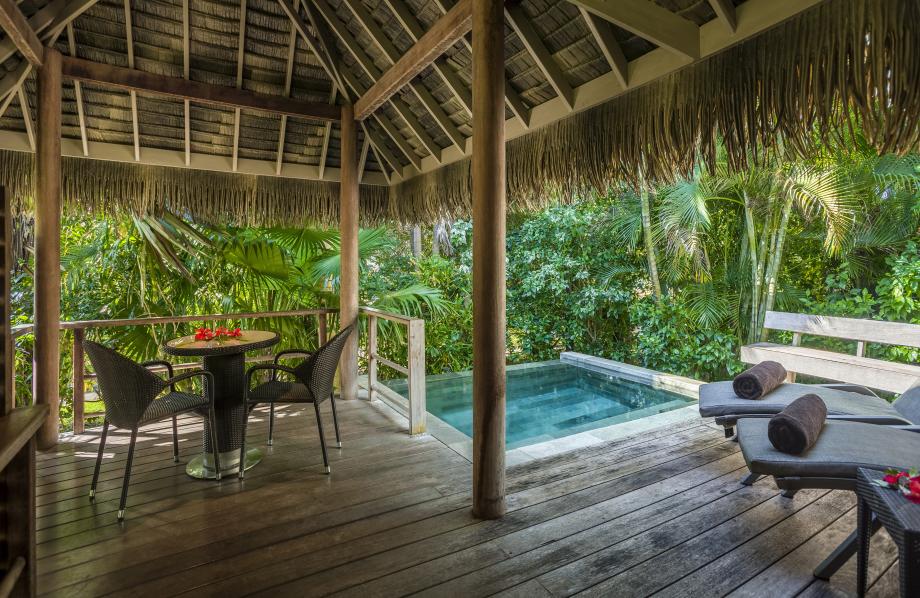 Bungalow Junior Suite Jardin Piscine