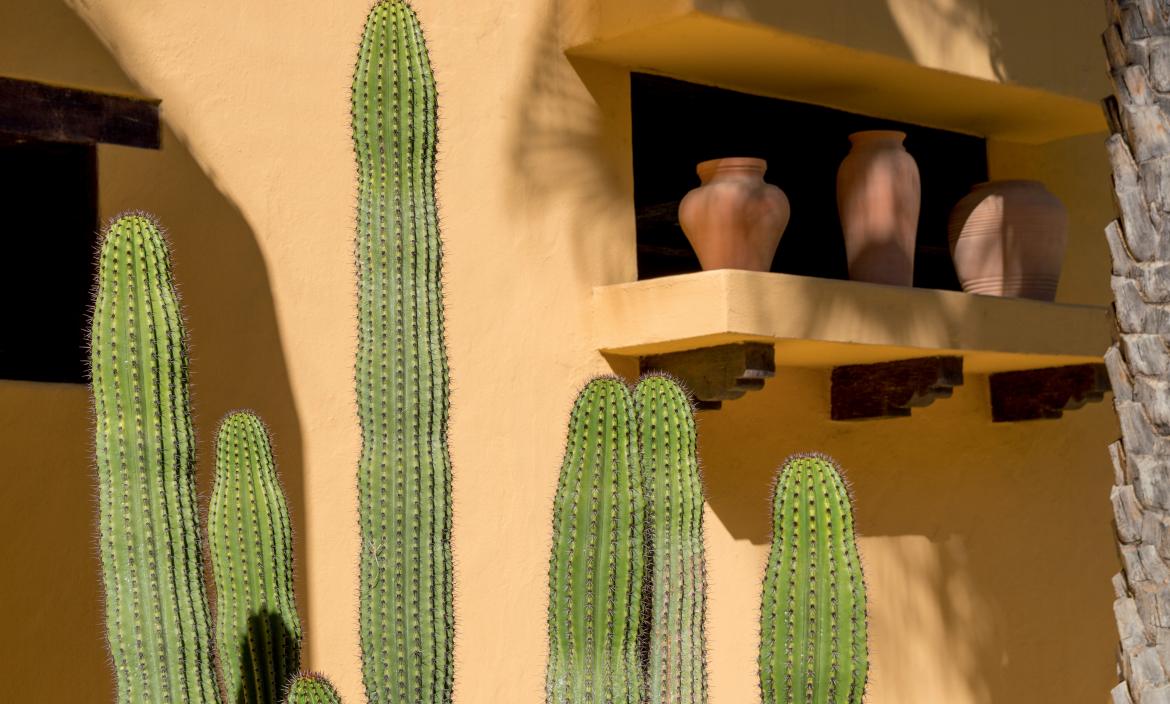 Mexique - Yucatan
