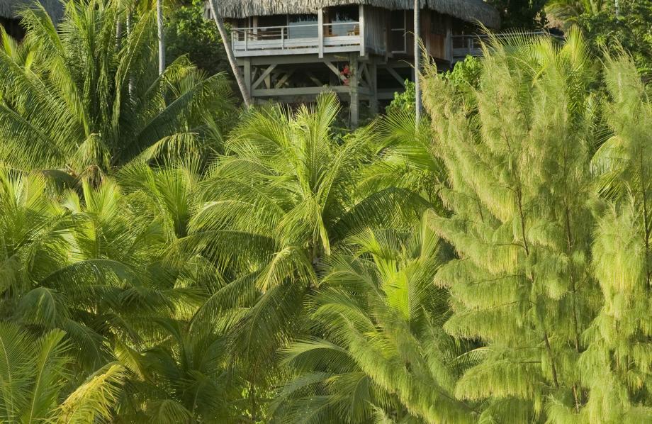 Villa Colline