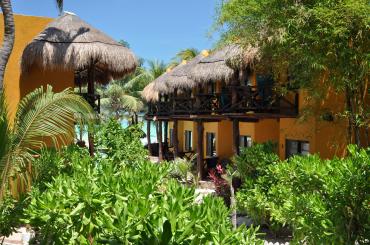 Holbox Dream
