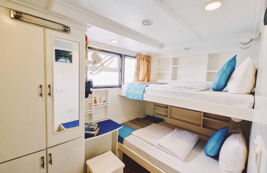Cabine Standard
