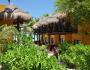 Holbox Dream