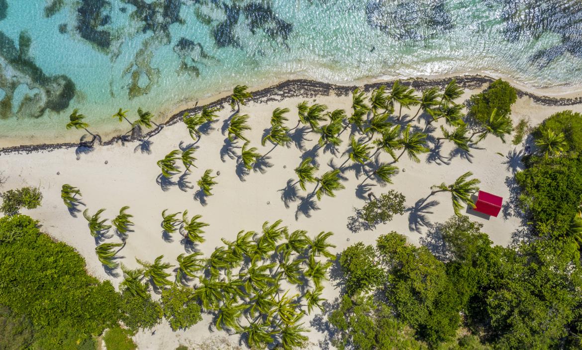 Guadeloupe