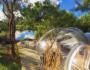 Bubble Lodge Ile aux Cerfs