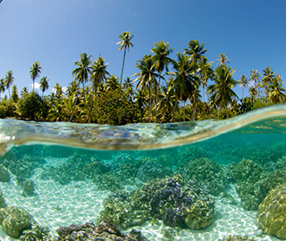 Combinés d'îles